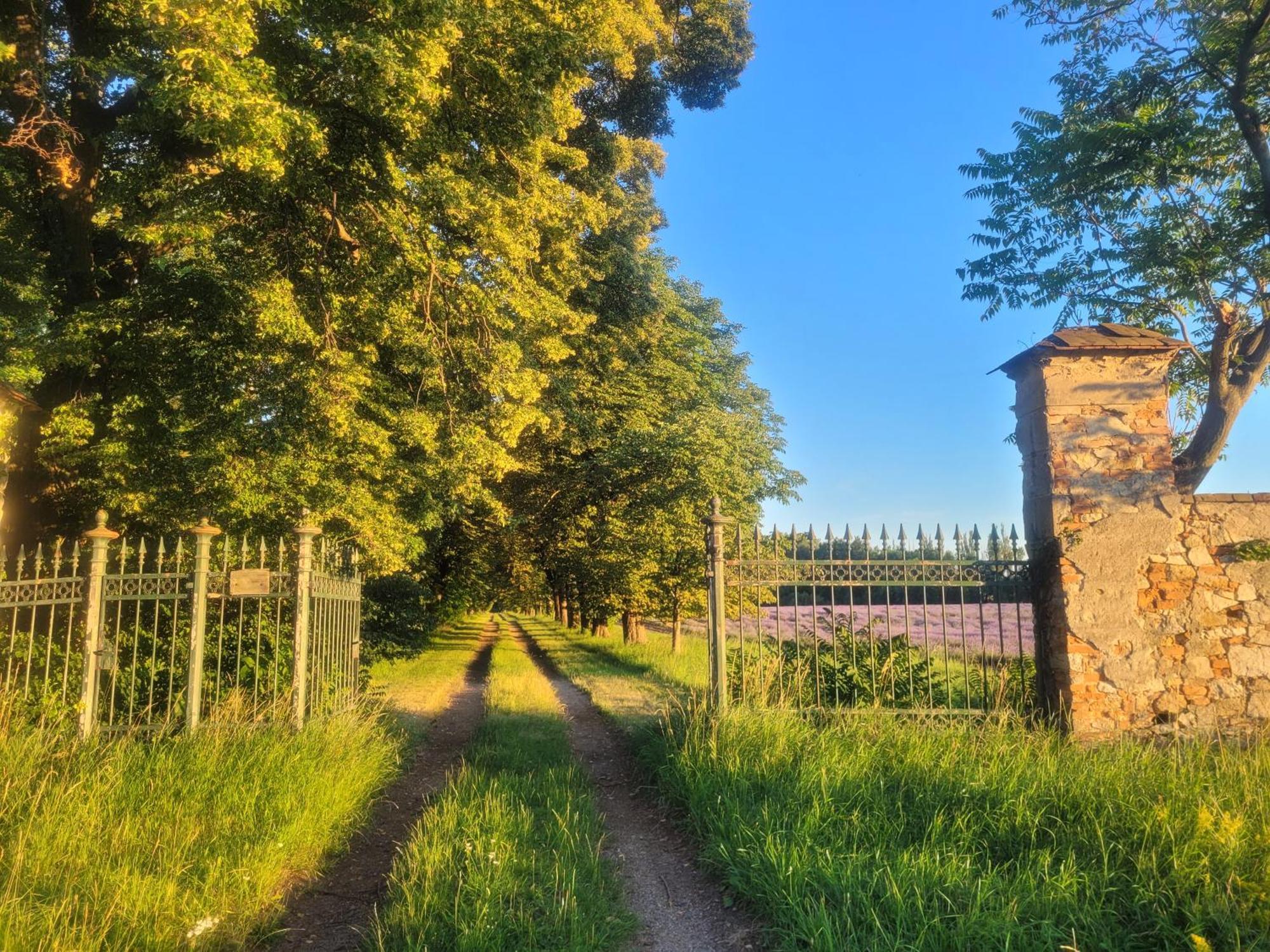 Privatunterkunft Schloss *